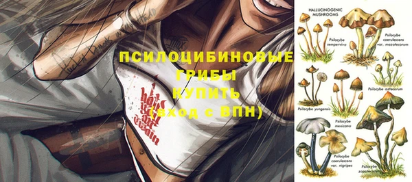 дживик Алексеевка