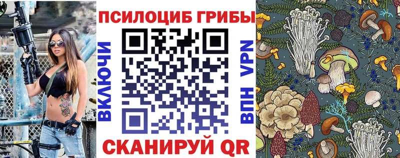 Псилоцибиновые грибы ЛСД  кракен зеркало  Салехард 